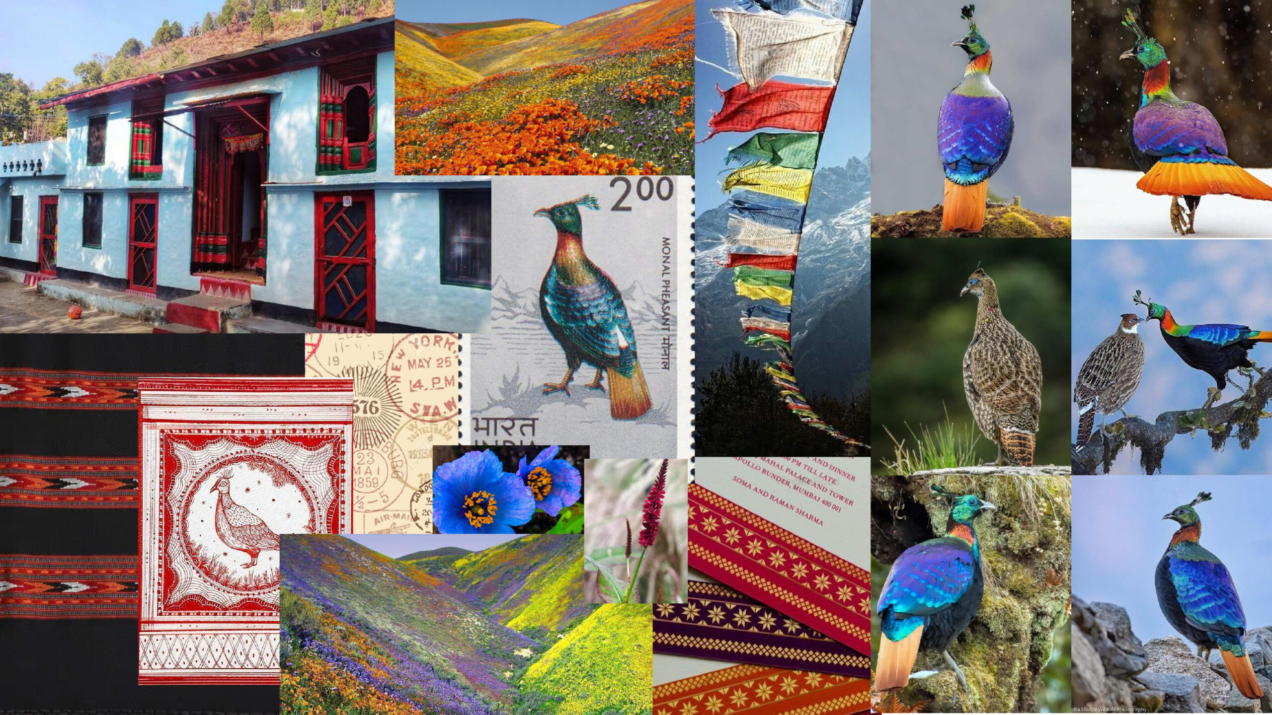 moodboard_uttarakhand