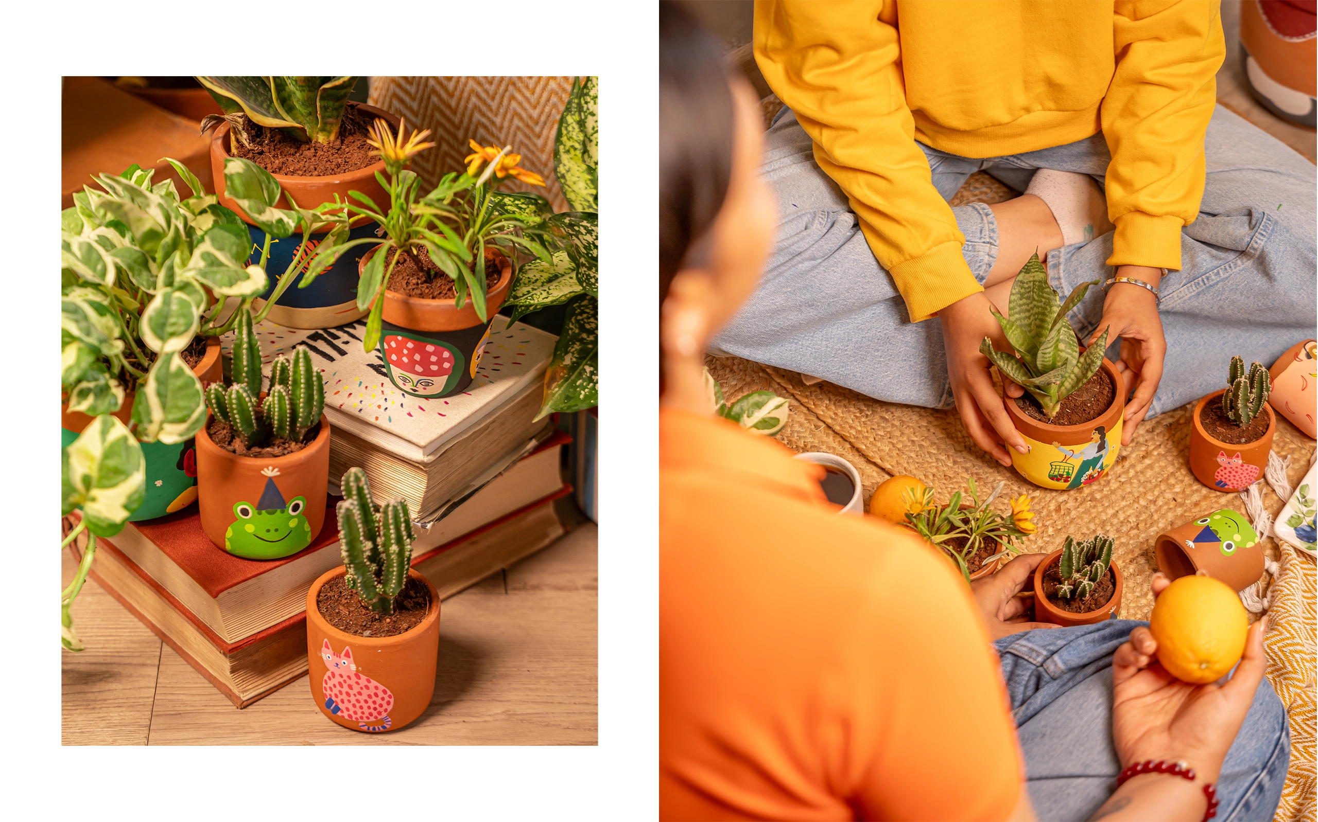 http://Raw%20earth%20branding%20packaging